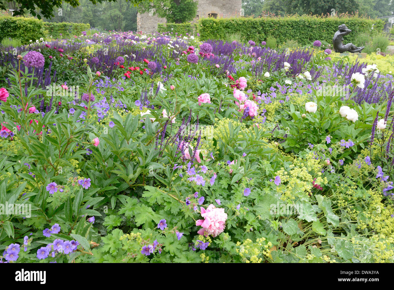 Jardin fleuri Banque D'Images
