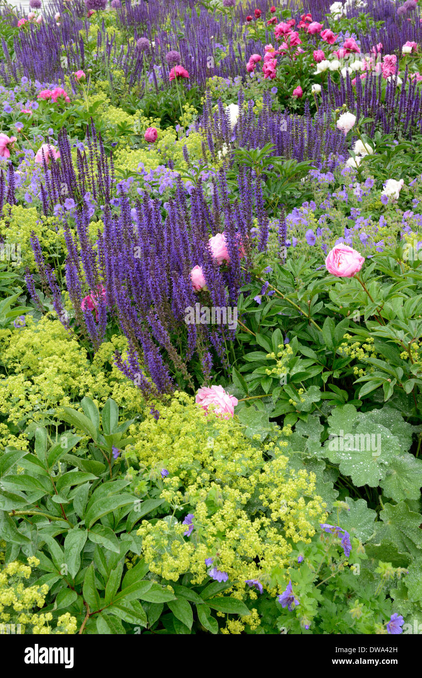 Jardin fleuri Banque D'Images