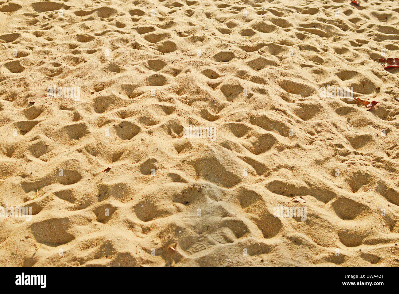 Fond de sable de beauté Banque D'Images