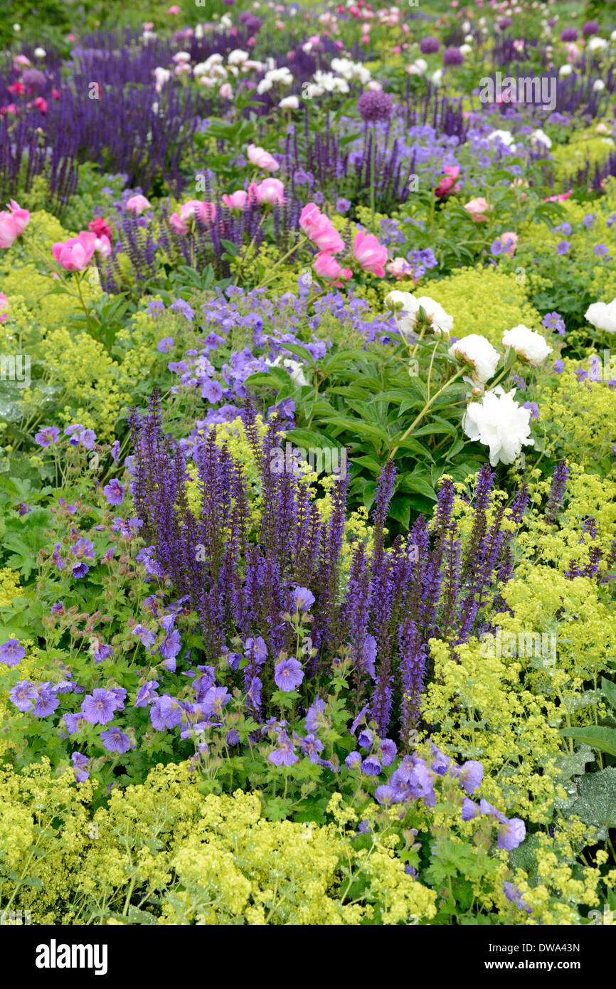 Jardin fleuri Banque D'Images