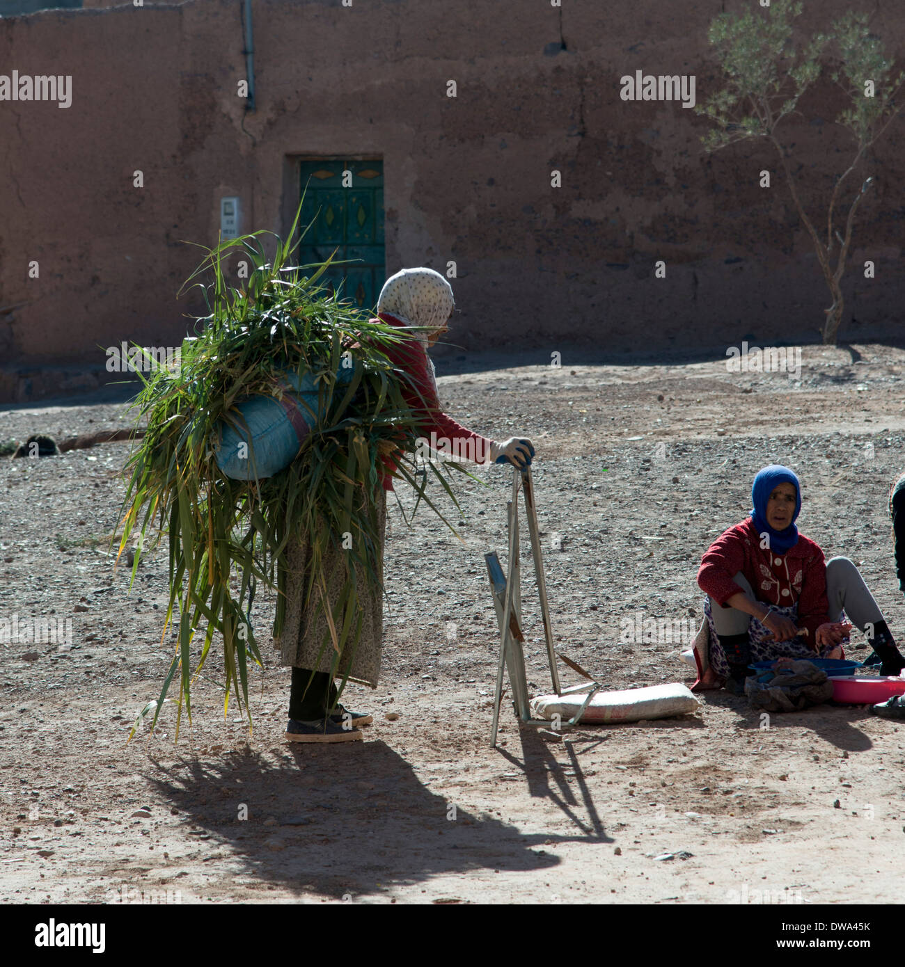 Femme transportant l'herbe sur le dos, Tabounte, Province de Ouarzazate, Maroc, Souss-Massa-Draa Banque D'Images