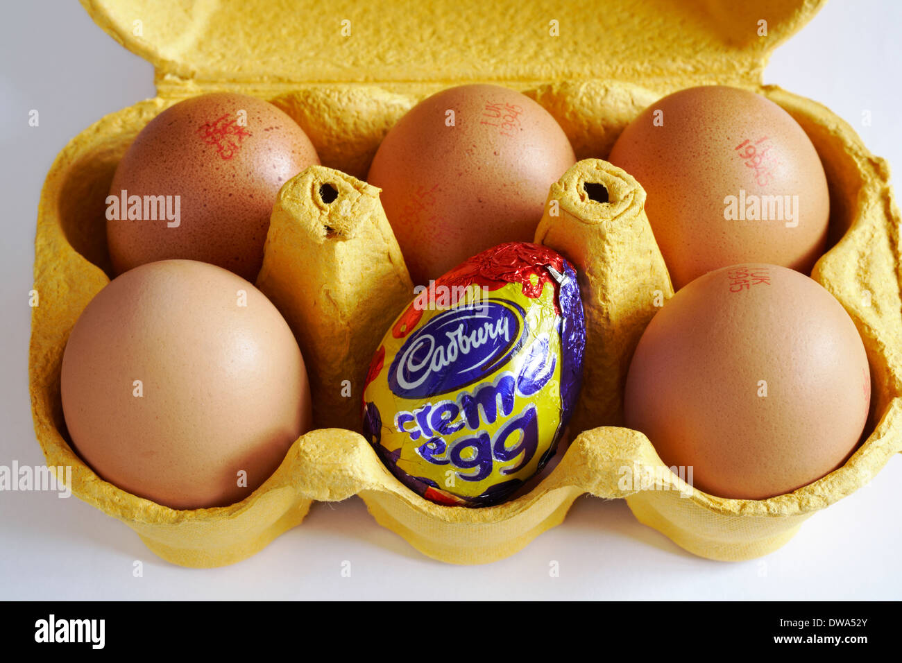 De carton des œufs avec un remplacé par un ensemble d'oeufs Cadbury creme sur fond blanc concept différent, se démarquer de la foule, odd one out Banque D'Images