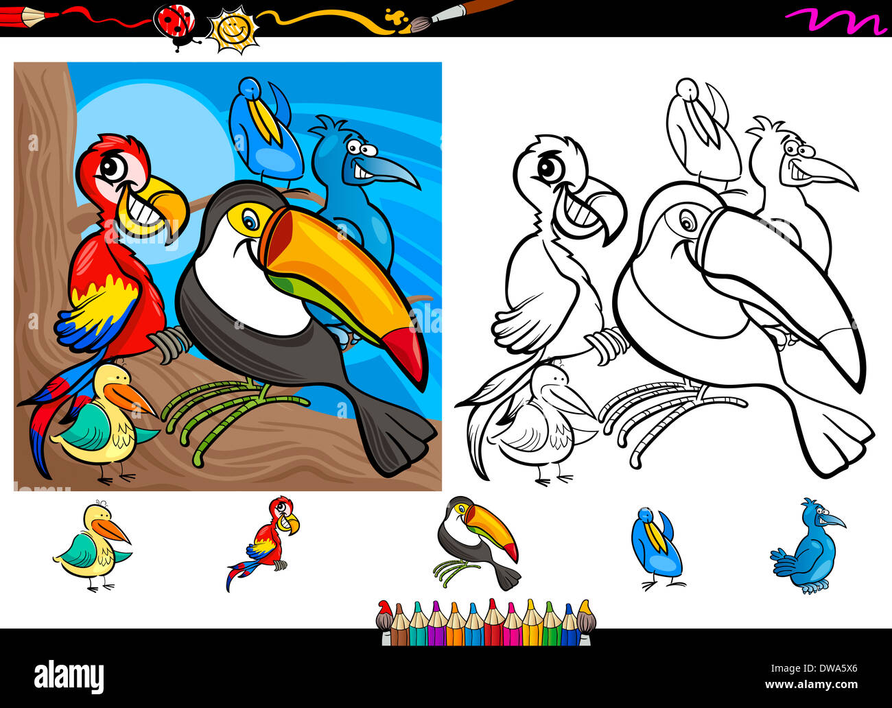 Illustrations De Funny Cartoon Oiseaux Colorés Personnages