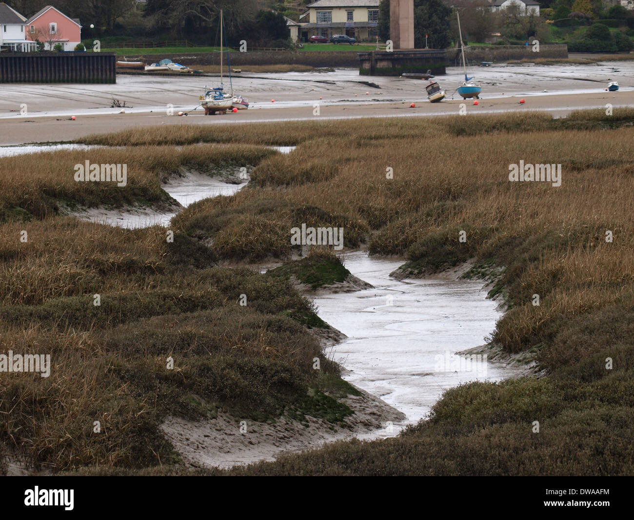 Gully à travers les marais de l'estuaire, Bideford, Devon, UK Banque D'Images