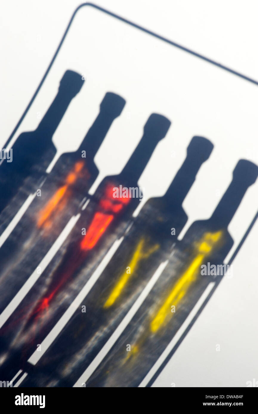 Ombres de bouteilles d'huile d'olive épicée cuisson sur un fond blanc Banque D'Images