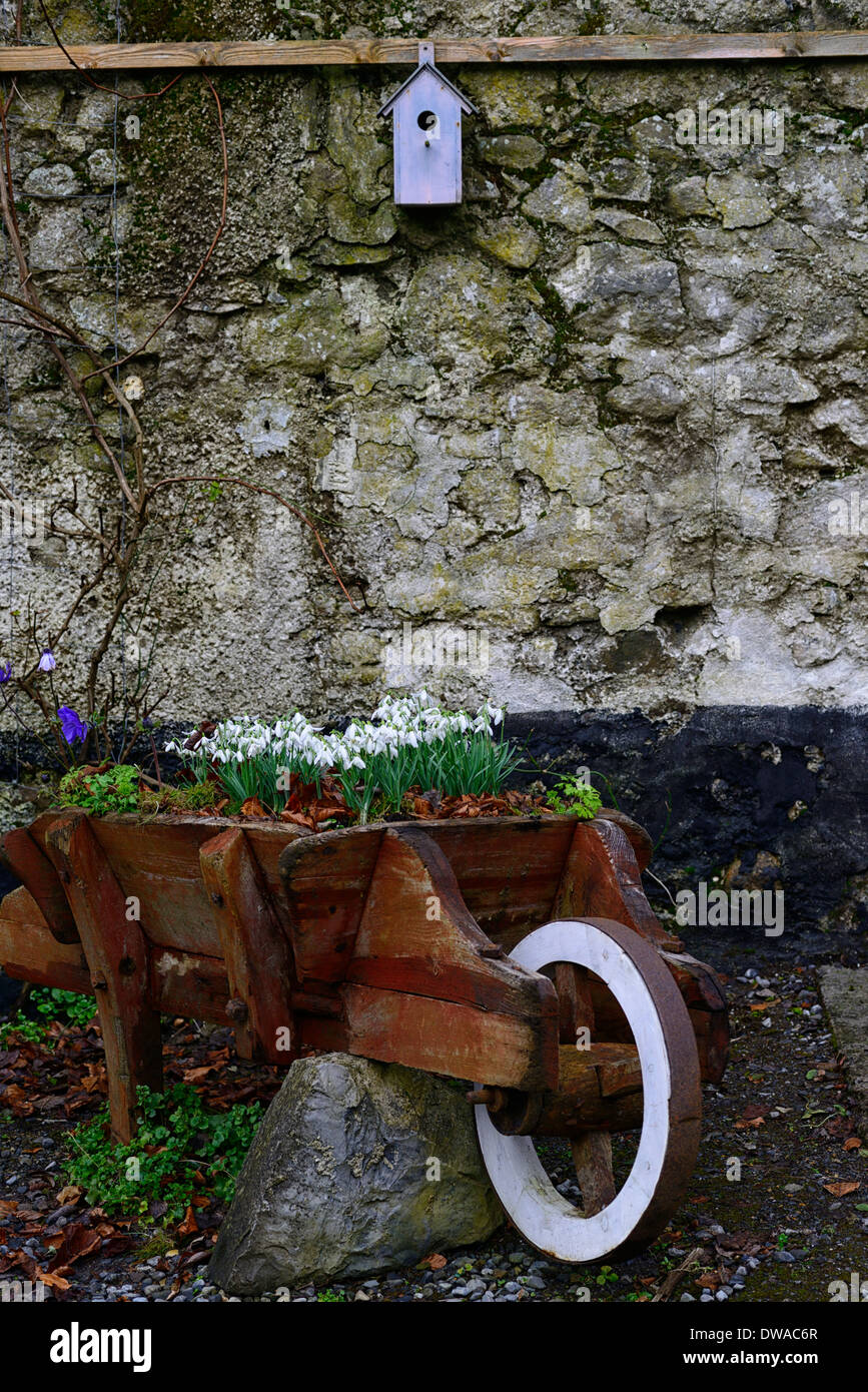 Brouette en bois bois rempli de Spring Garden Design fonctionnalité perce-neige printemps fleurs fleur floraison ampoule Banque D'Images