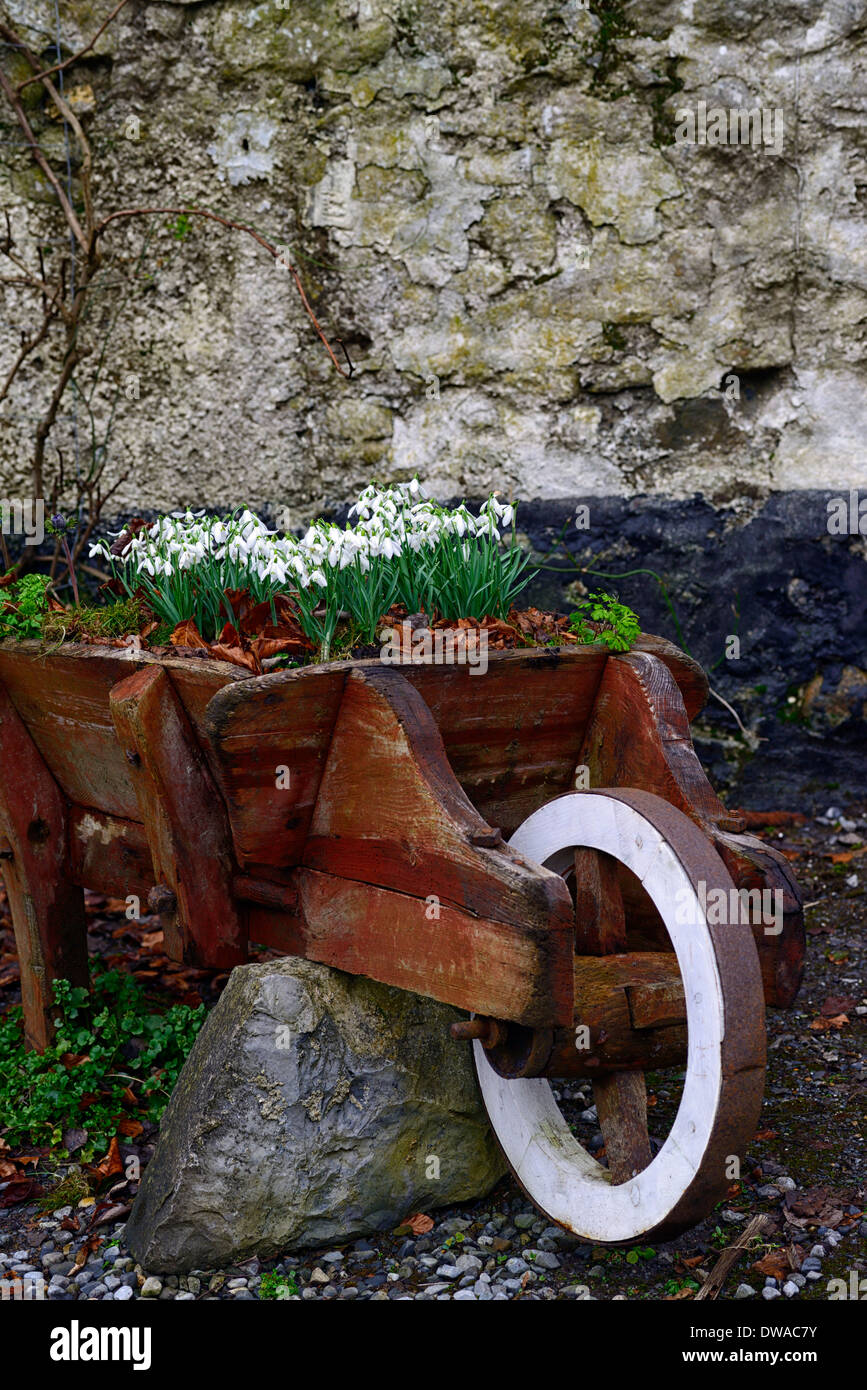 Brouette en bois bois rempli de Spring Garden Design fonctionnalité perce-neige printemps fleurs fleur floraison ampoule Banque D'Images