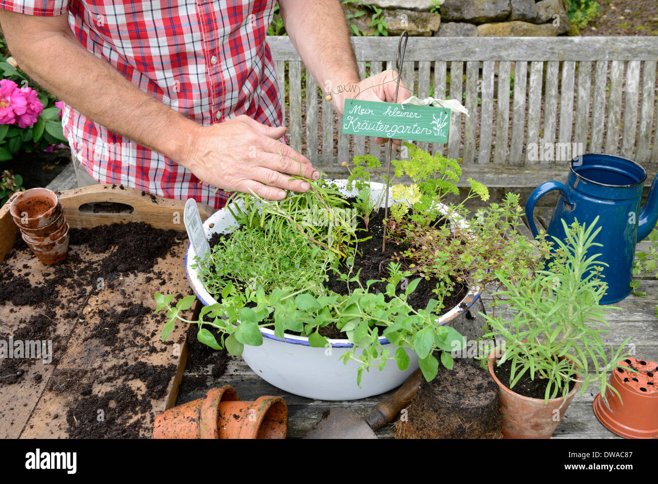 Boîte à fleurs plantation Banque D'Images