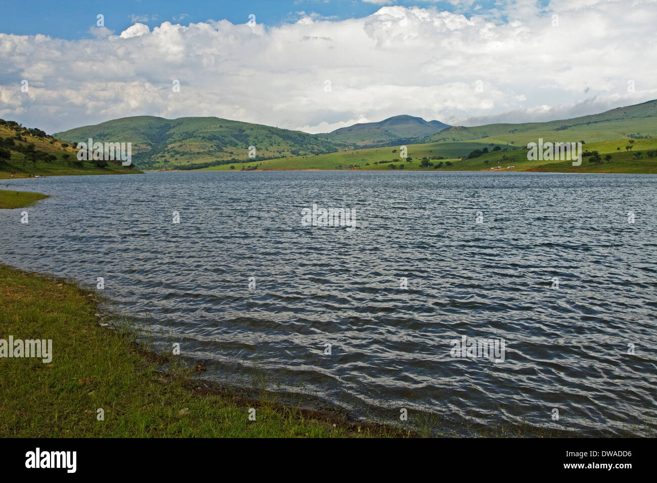 Paysage de Ohrigstad Dam Nature Reserve près de Pilgrim's Rest, le nord du Drakensberg, Mpumalanga Banque D'Images