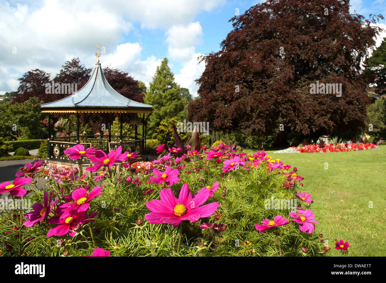 Fleurs d'été à Victoria Gardens, Truro, Cornwall, UK Banque D'Images