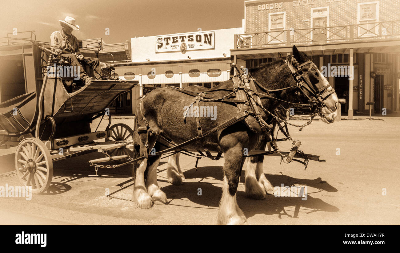 Cheval stagecoach, Tombstone, Arizona USA Banque D'Images