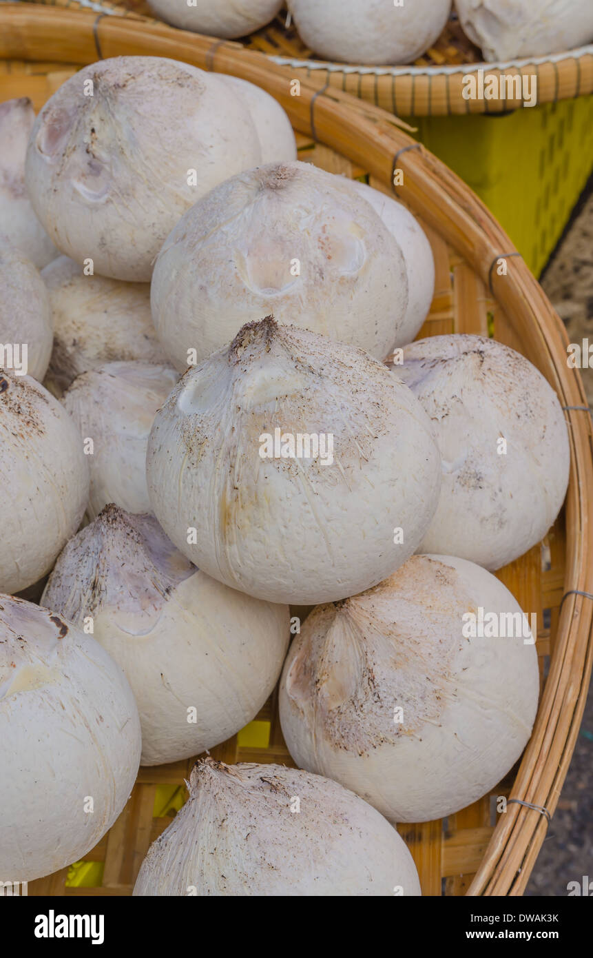 Les jeunes pelées coco vente au marché de produits frais dans la région de Krabi Thailand Banque D'Images