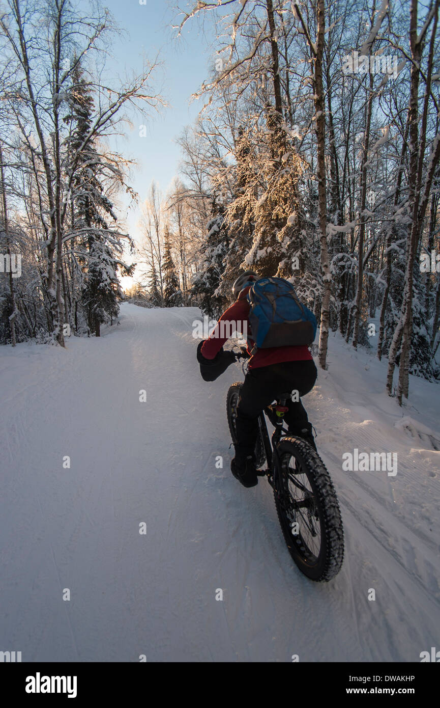 La photo d'une femme snow vtt au coucher du soleil, Chester Creek Trail, Anchorage, Alaska. tiré de l'arrière Banque D'Images