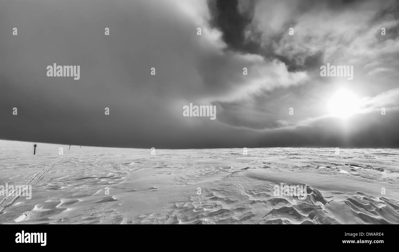 Le temps est le nettoyage qu'une tempête de neige en Laponie, Finlande, l'UE Banque D'Images