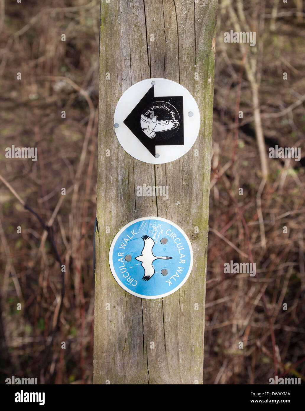 Des signes sur le sentier circulaire façon Shropshire à pied sur un panneau en bois Shropshire England UK Banque D'Images