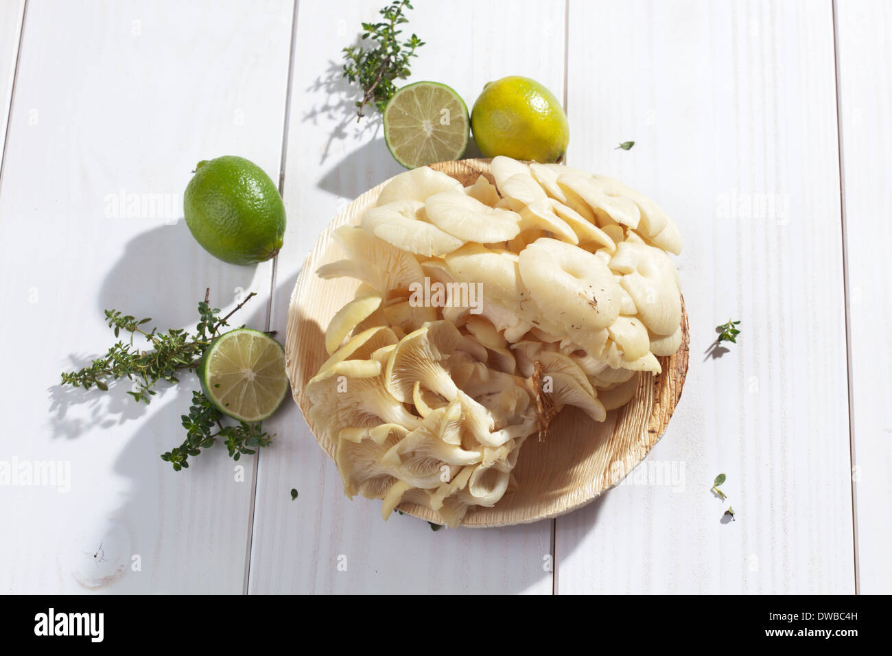 Golden pleurotes (Pleurotus citrinopileatus), limes, et thym-citron sur table en bois Banque D'Images