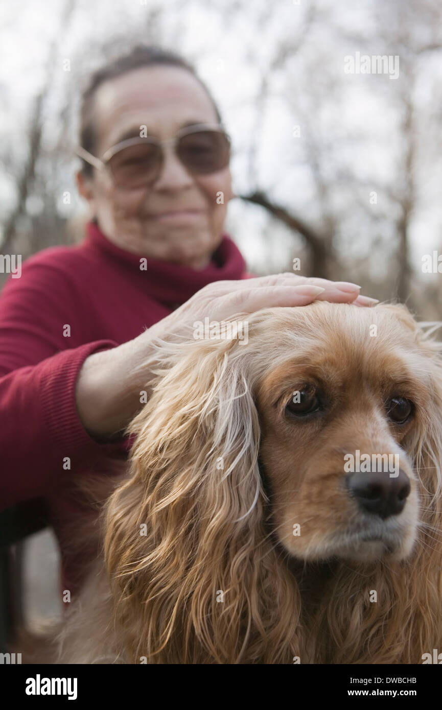 Senior woman tapotant dog Banque D'Images