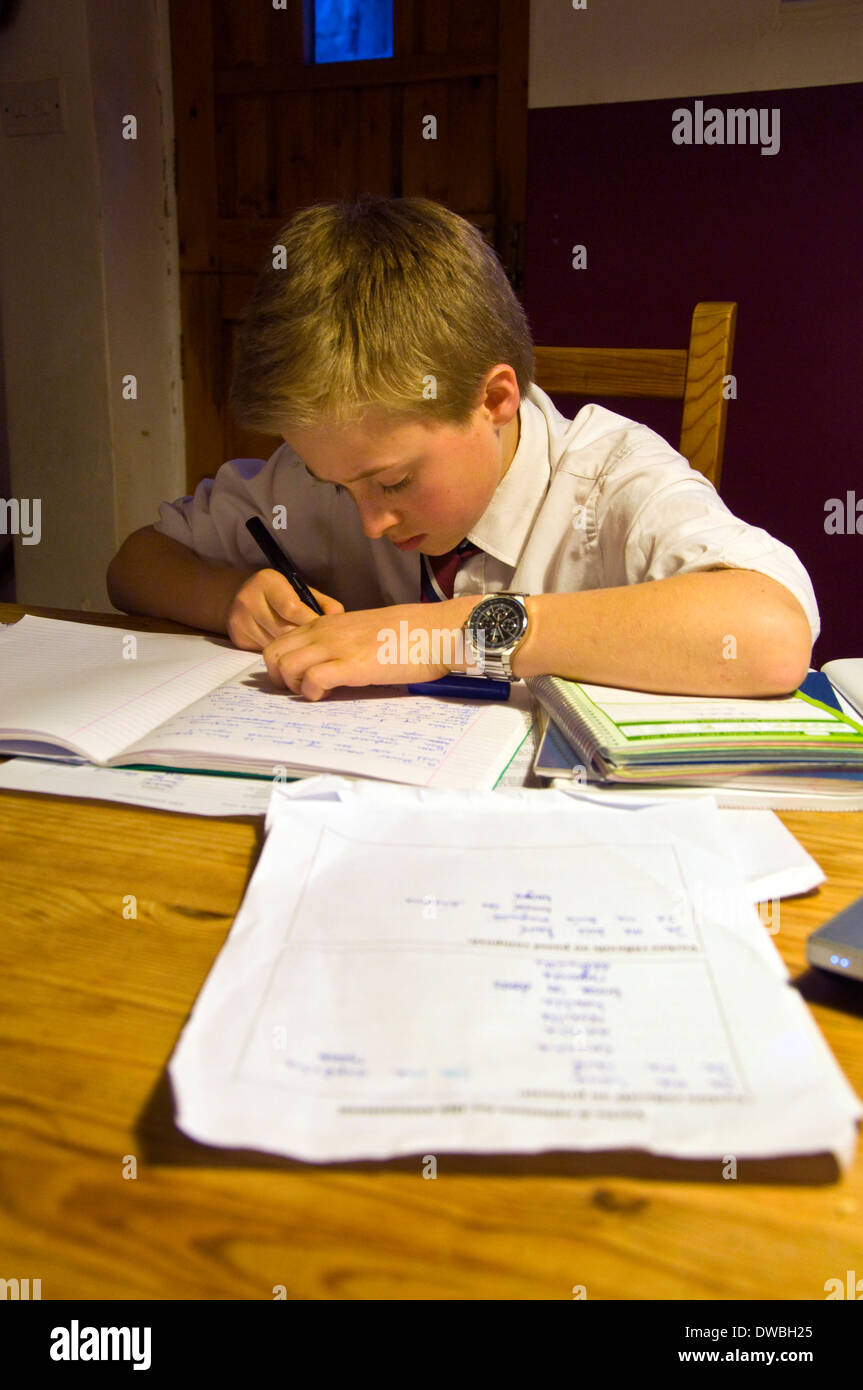 Garçon de 13 ans travaillant sur les devoirs de l'école Banque D'Images