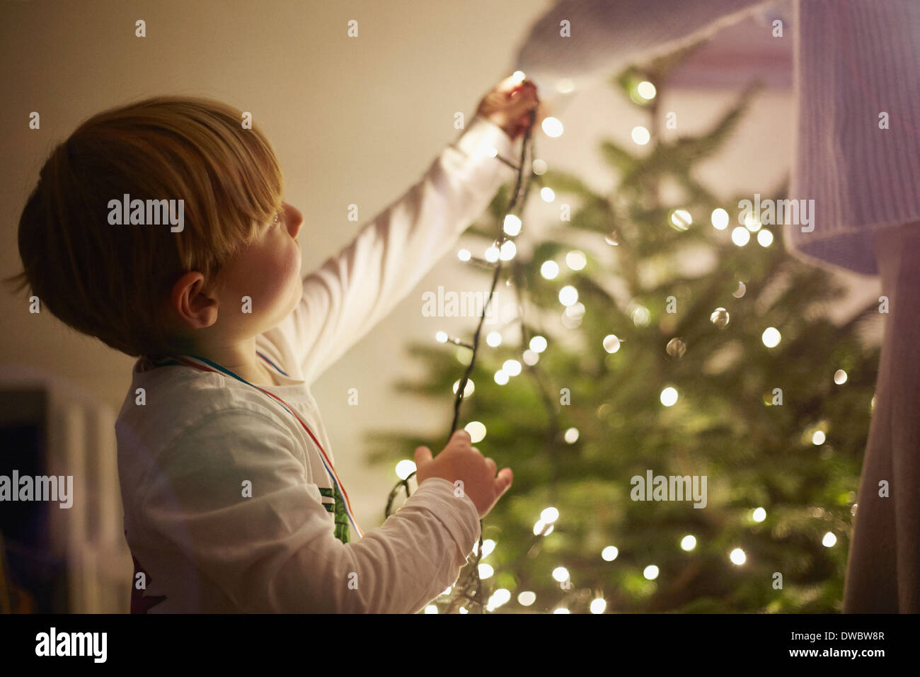 Jeune garçon de mettre en place des lumières d'arbre de Noël Banque D'Images