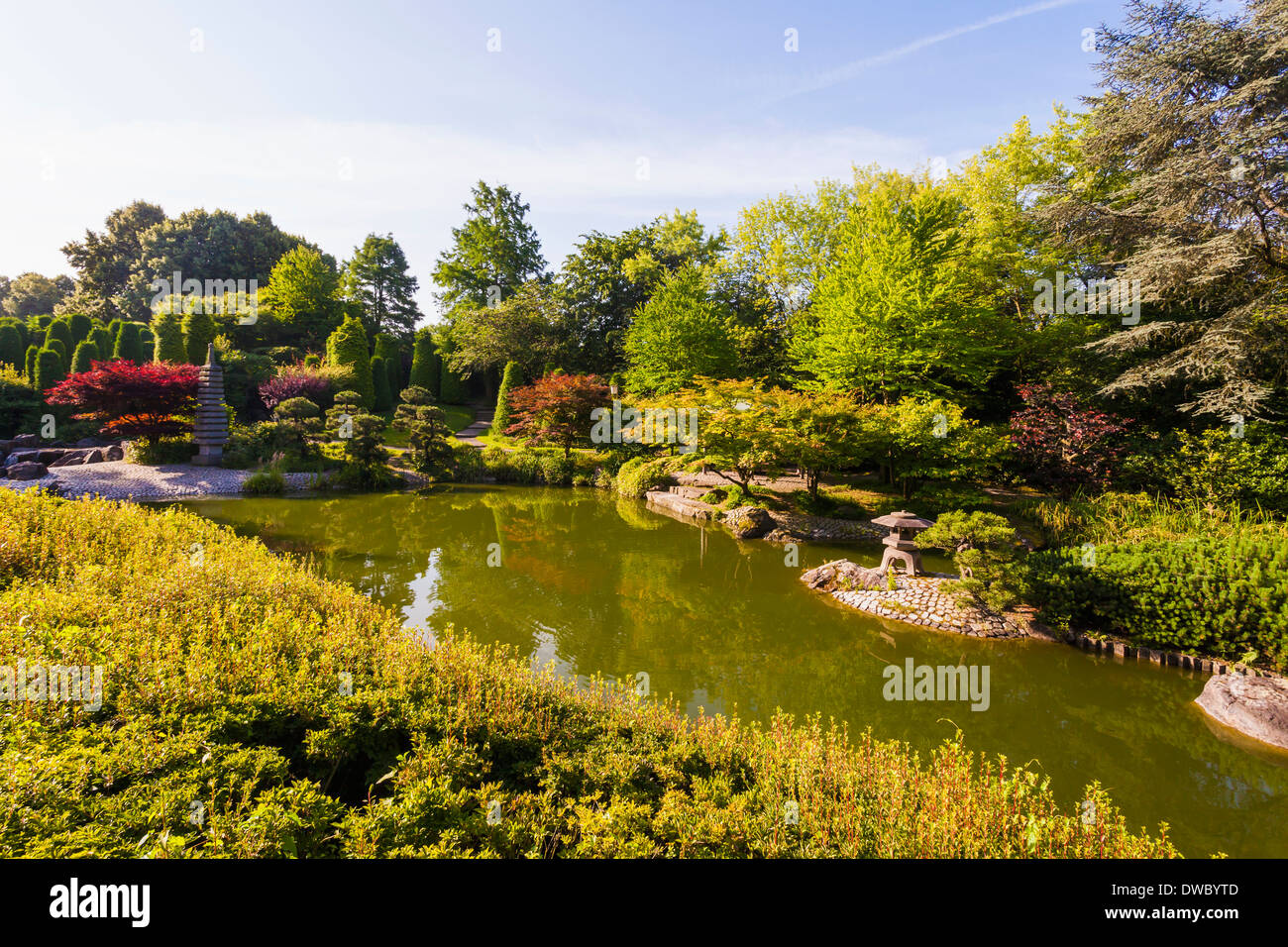 Allemagne, Berlin, Bonn, en vue d'un jardin japonais Banque D'Images