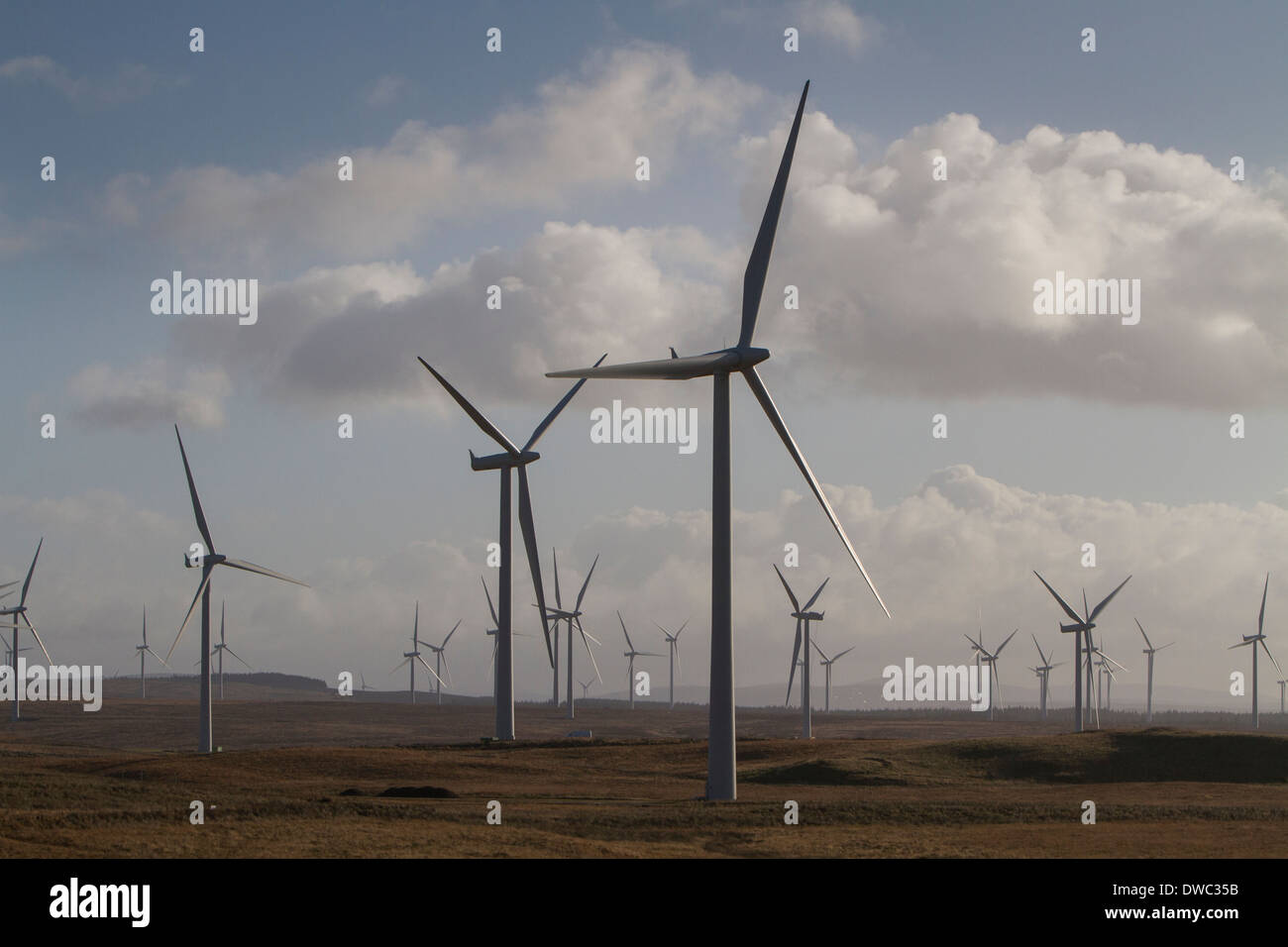 ScottishPower Whitelee wind farm, Eaglesham Moor, l'Ayrshire. Banque D'Images