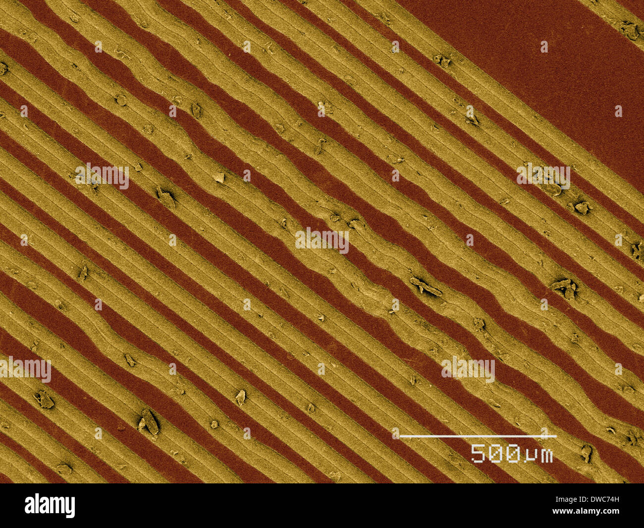 Coloured SEM de rainures sur vinyl record Banque D'Images
