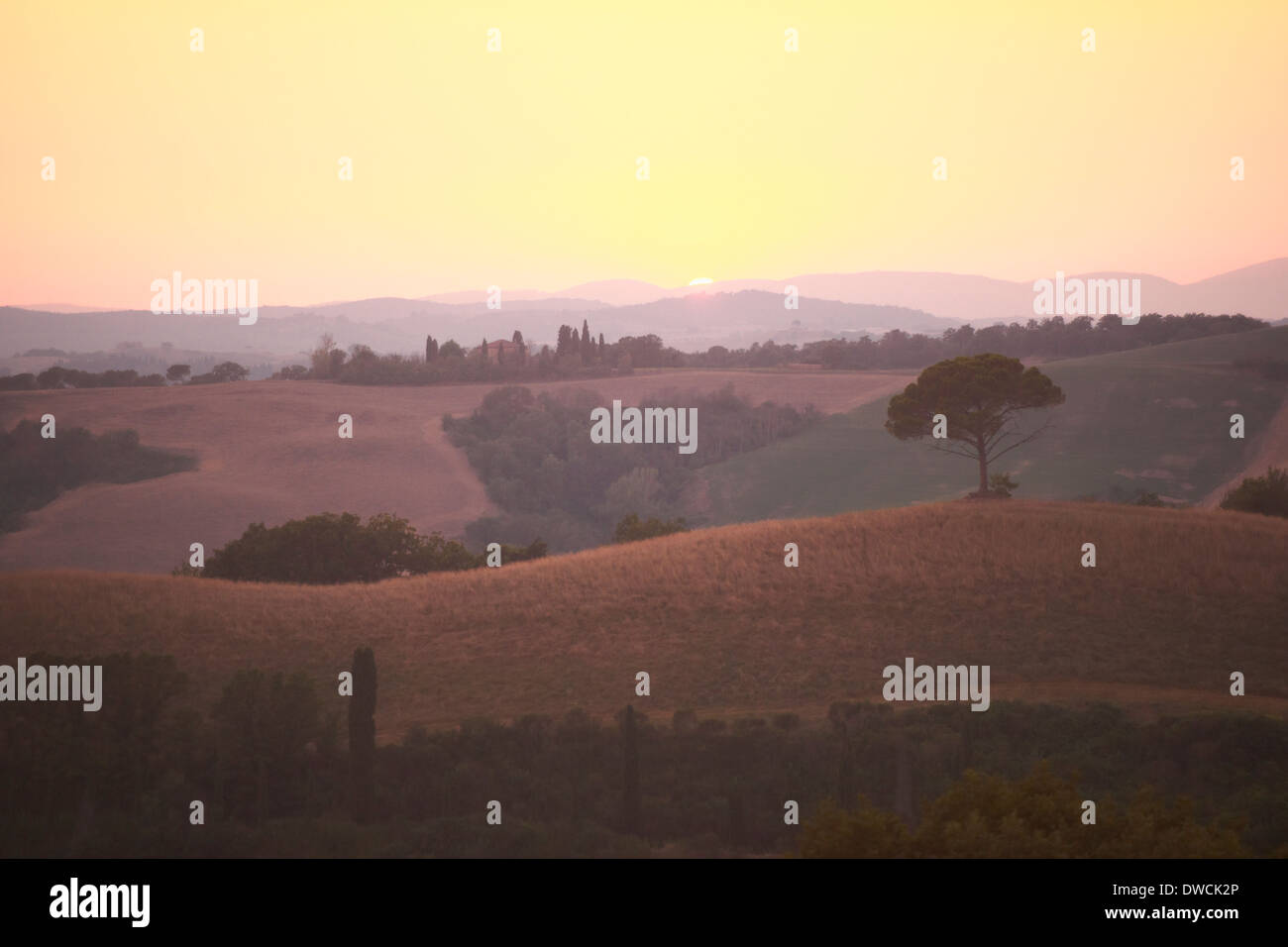Paysage rural au coucher du soleil, Toscane, Italie Banque D'Images