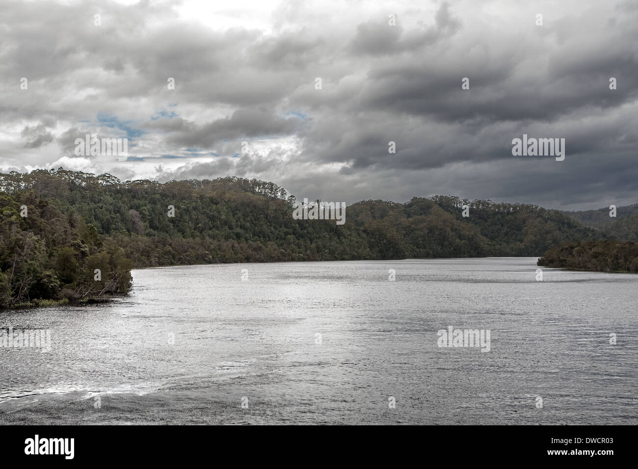 Gordon River, forêt tropicale tempérée, Strahan, Tasmanie, Australie Banque D'Images