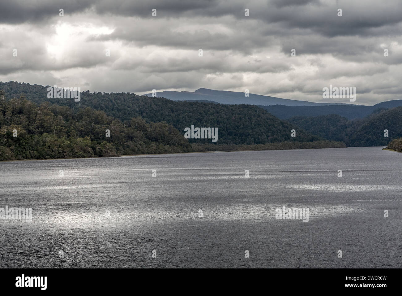 Gordon River, forêt tropicale tempérée, Strahan, Tasmanie, Australie Banque D'Images