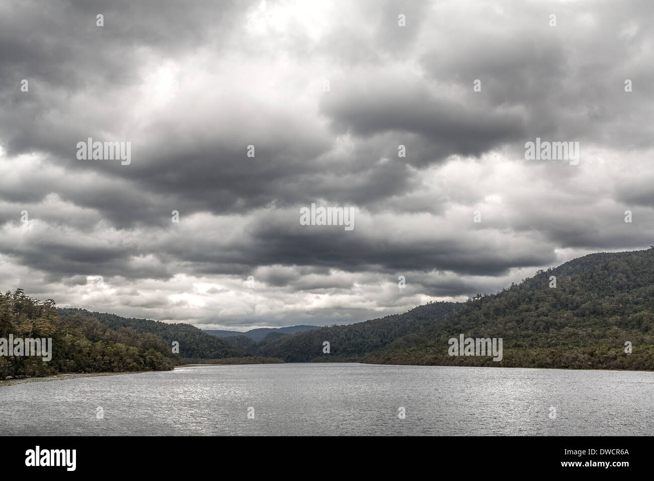 Gordon River, forêt tropicale tempérée, Strahan, Tasmanie, Australie Banque D'Images