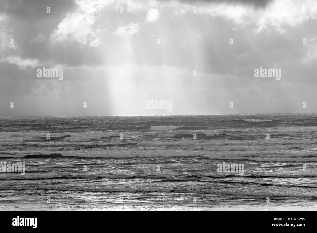 Ocean Beach, Strahan, Tasmanie, Australie Banque D'Images