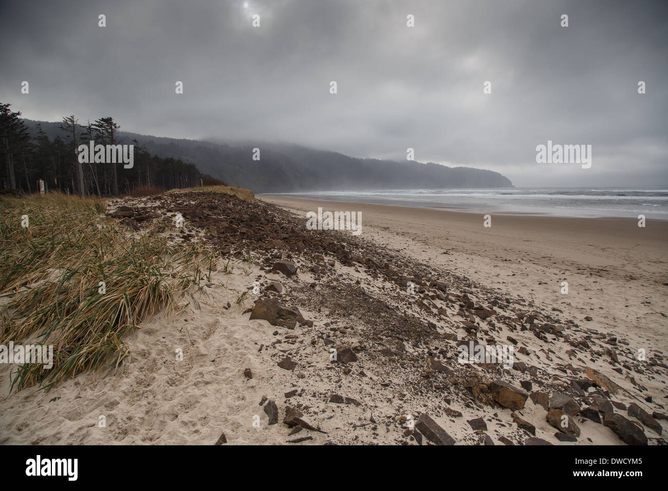 Un misty et foggy beach à Cape Lookout State Park, Oregon. Banque D'Images