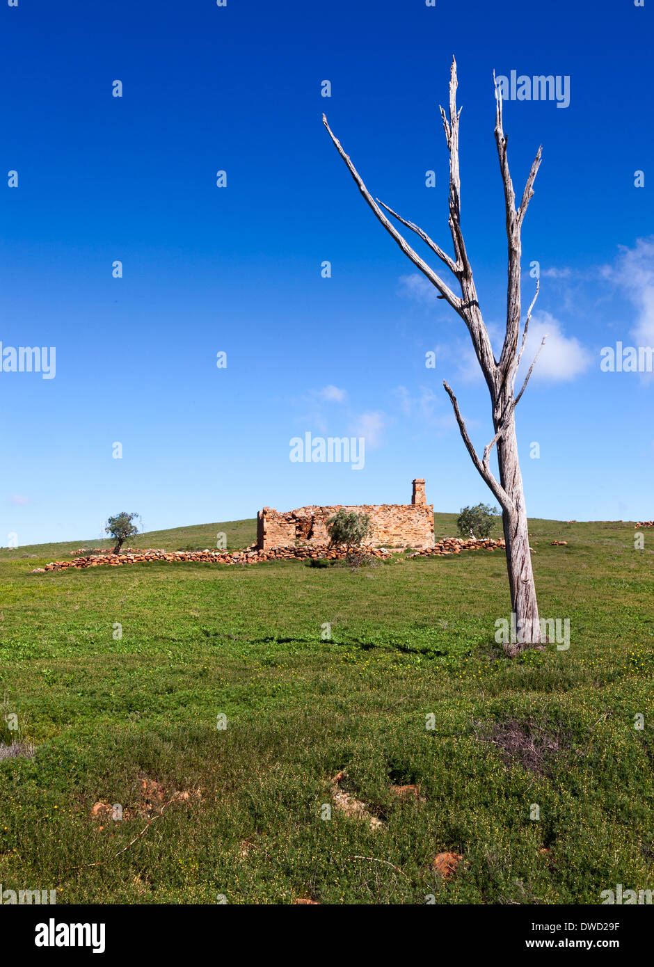 Homestead abandonné dans Flinders en Australie Banque D'Images