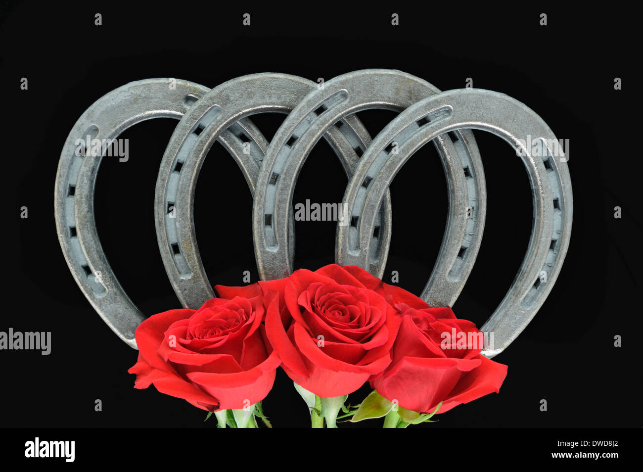 Quatre fers, avec trois roses rouges, dans une arche symétrique pour la bonne fortune et la chance, un portrait sur fond noir. Banque D'Images