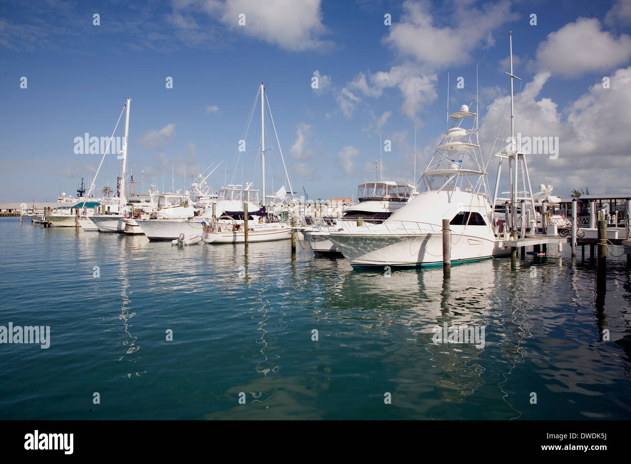 Yachts et bateaux de pêche se mêlent dans les marinas de l'Historic Seaport district de Key West, Floride, USA Banque D'Images