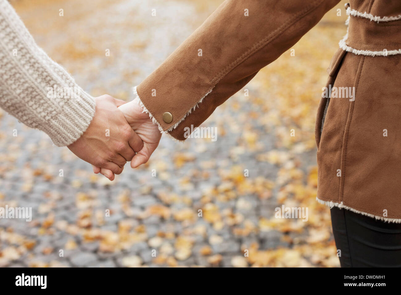 Portrait couple holding hands au cours de l'automne Banque D'Images