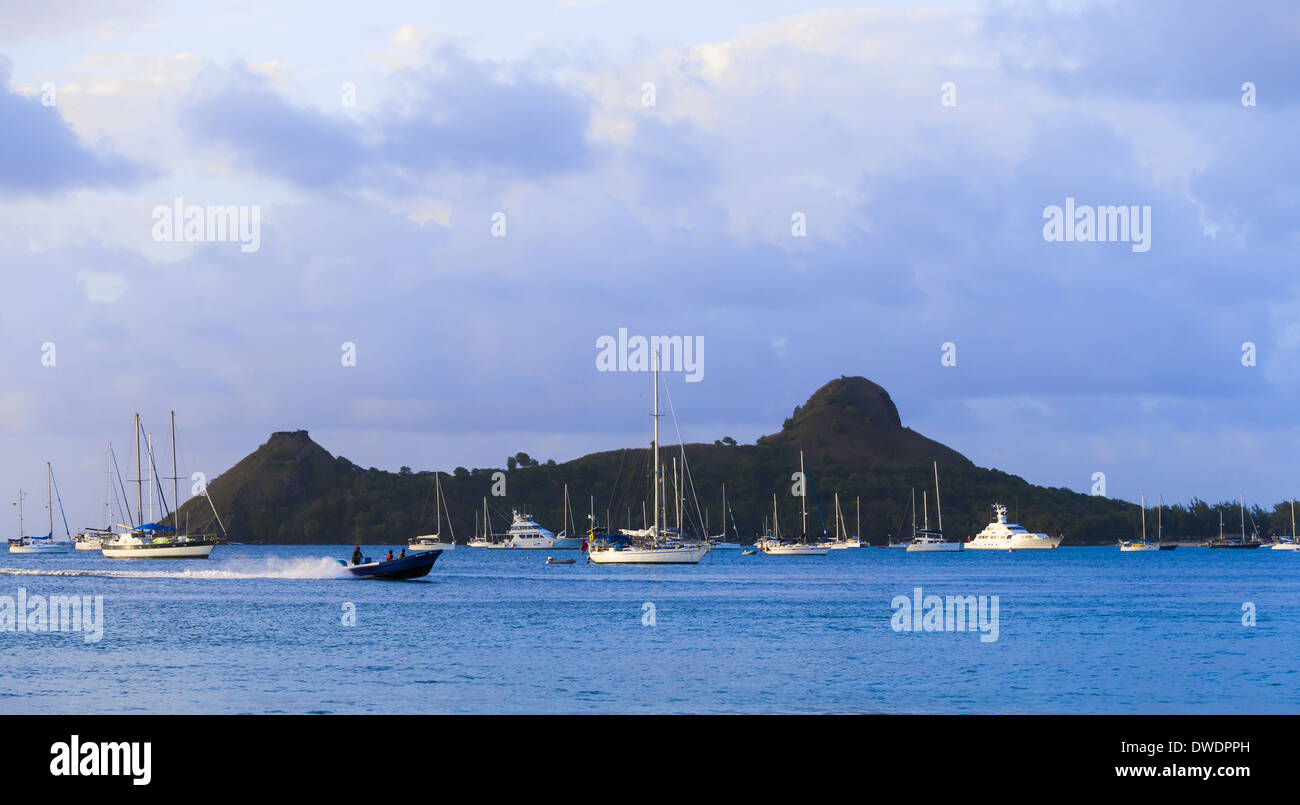 Caraïbes, Lesser Antilles, Saint Lucia, yachts à Rodney Bay dans la soirée Banque D'Images