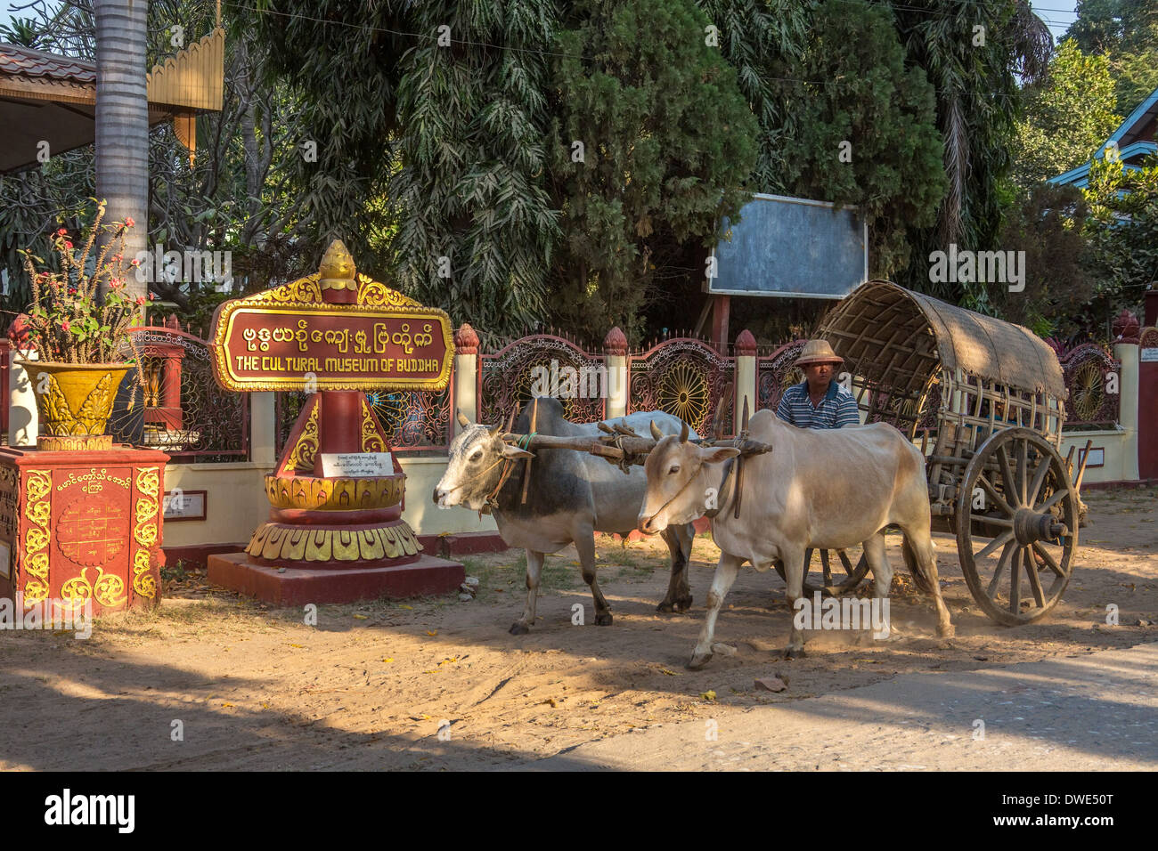 Scène de rue dans la petite ville de Mingun dans la région nord-ouest de Myanmar (Birmanie) Banque D'Images