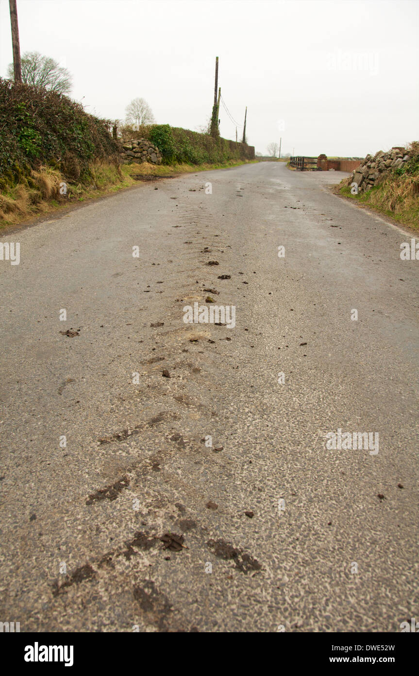 Les pistes de boue d'un tracteur sur une route de campagne à l'ouest de l'Irlande Banque D'Images