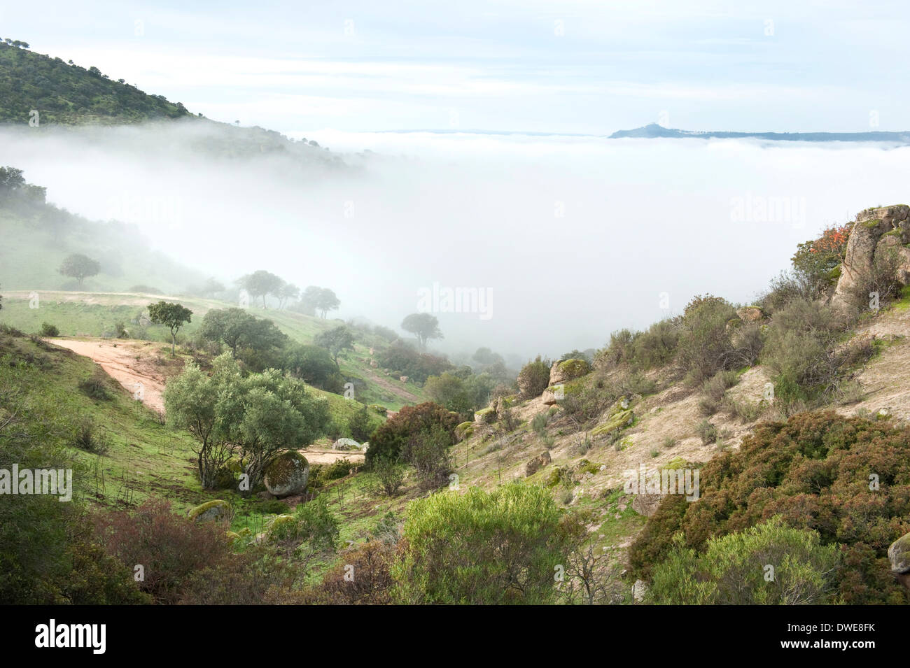 Paysage du Parc Naturel de la Sierra de Andujar Espagne Banque D'Images