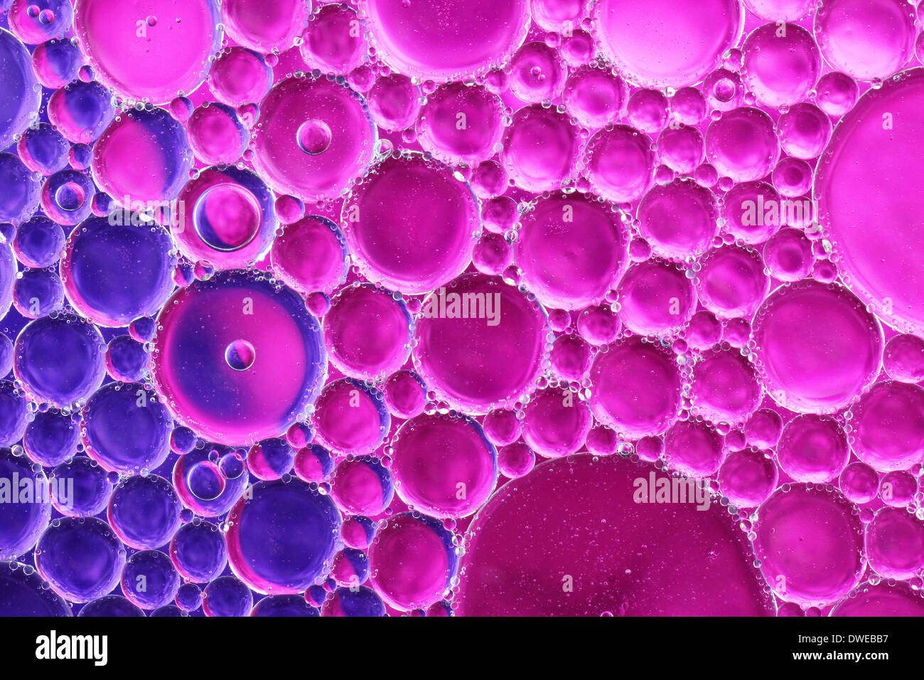 L'eau et l'huile sur fond violet et bleu coloré Banque D'Images