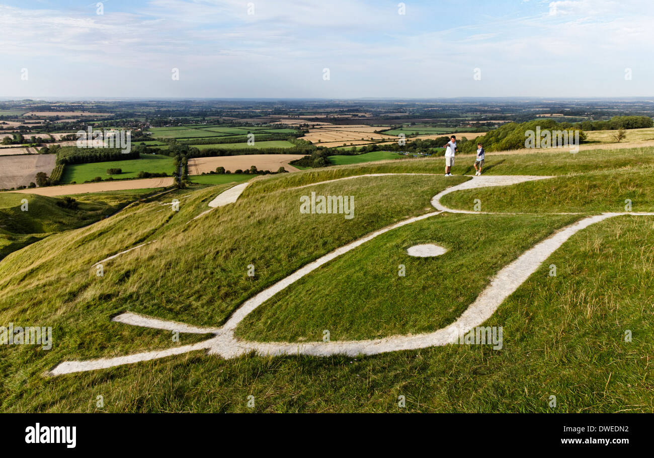 Le chef de l'Uffington Cheval Whiite, Oxfordshire, Angleterre Banque D'Images