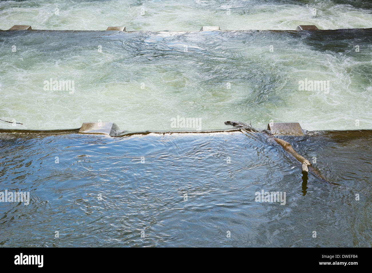 La maîtrise de l'eau comme symbole de la durabilité de l'environnement Banque D'Images
