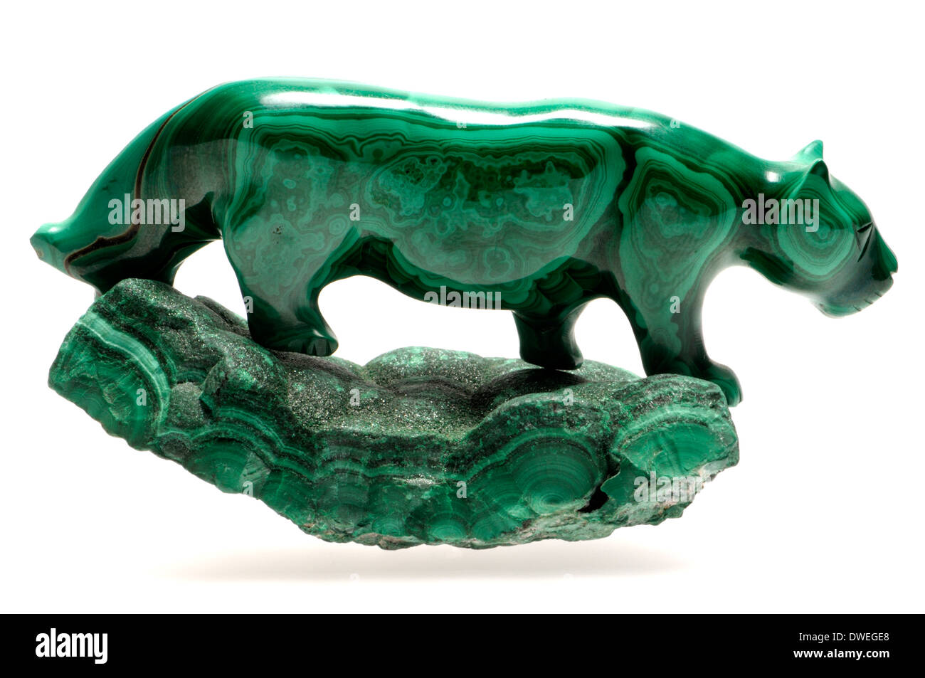 Sculpté, malachite poli big cat sur un morceau de vert malachite Banque D'Images