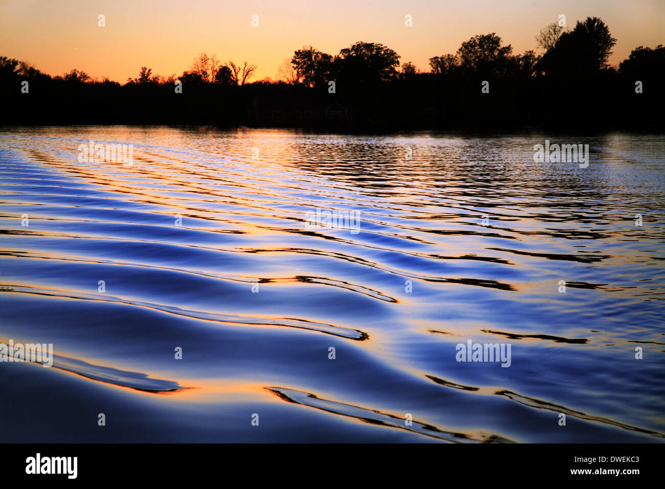 Ondulations dans le sillage d'un ponton au coucher du soleil sur le lac bois blancs, une partie de la rivière de la chaîne de lacs Huron, Michigan, USA Banque D'Images