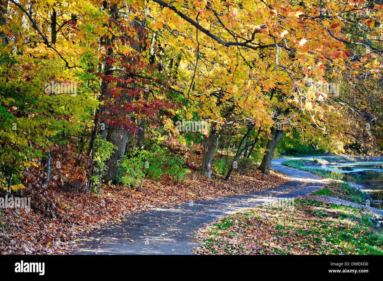 Un sentier pédestre le long d'un lac sur une journée ensoleillée au milieu de l'éclat des couleurs de l'automne, Sharon Woods, le sud-ouest de l'Ohio, USA Banque D'Images