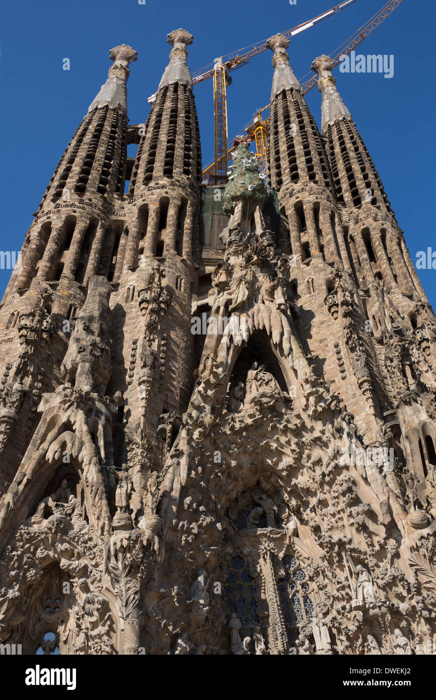 Néo-gothique de Gaudi Sagrada Familia (Temple Expiatori de la Sagrada Familia à Barcelone en Espagne) Banque D'Images