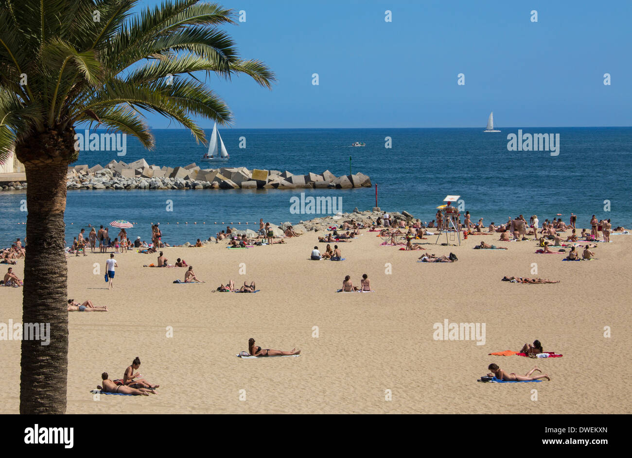 L'une des plages de Barcelone (Platja de la Nova Icaria) près du Port Olympique de Barcelone dans la région de Catalogne en Espagne. Banque D'Images