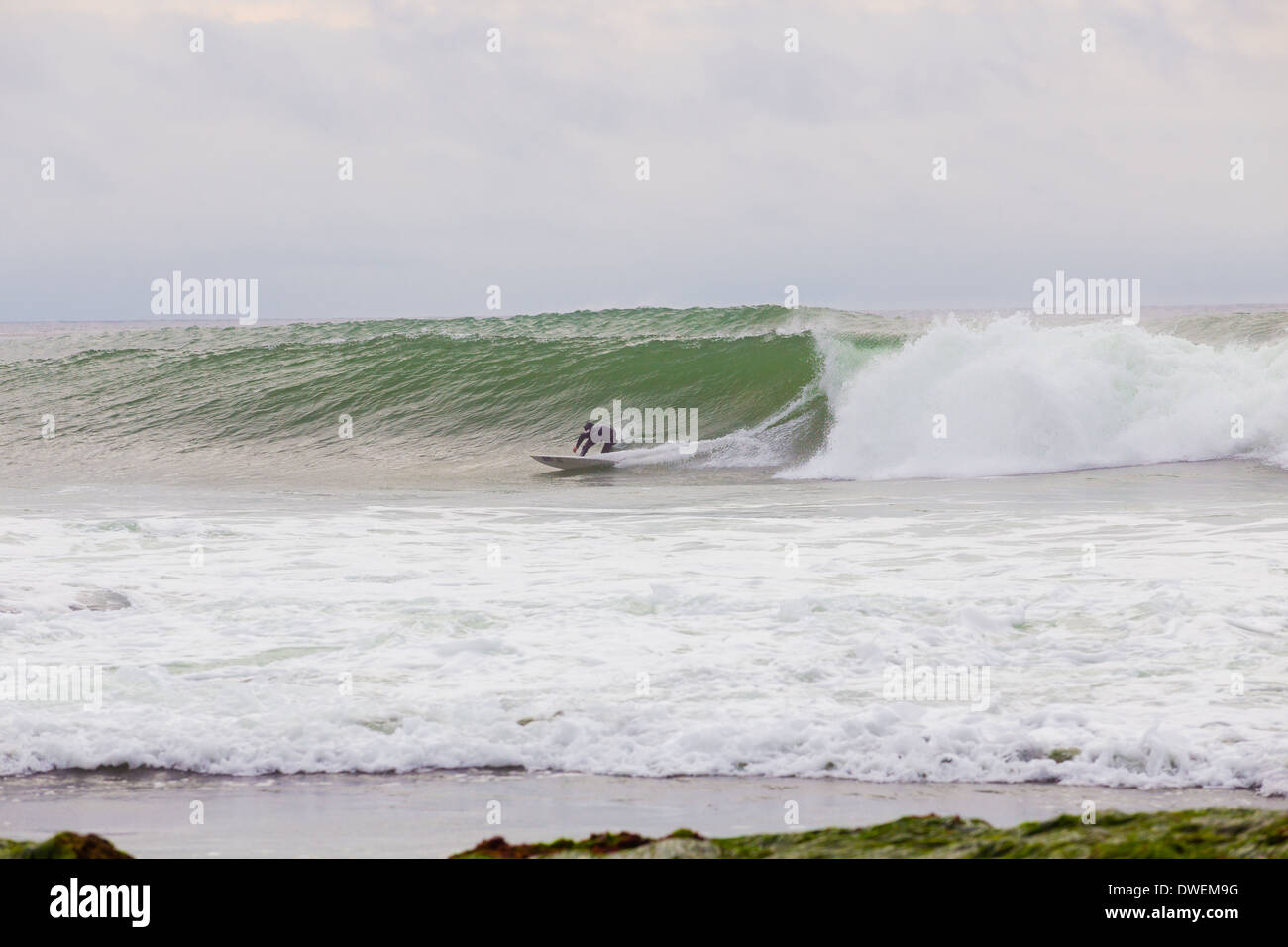 La Jolla, CA - 30 janvier 2014 : surfeur professionnel Skip to navigation mccullough une vague dans la Jolla, CA lors d'une session de surf. Banque D'Images