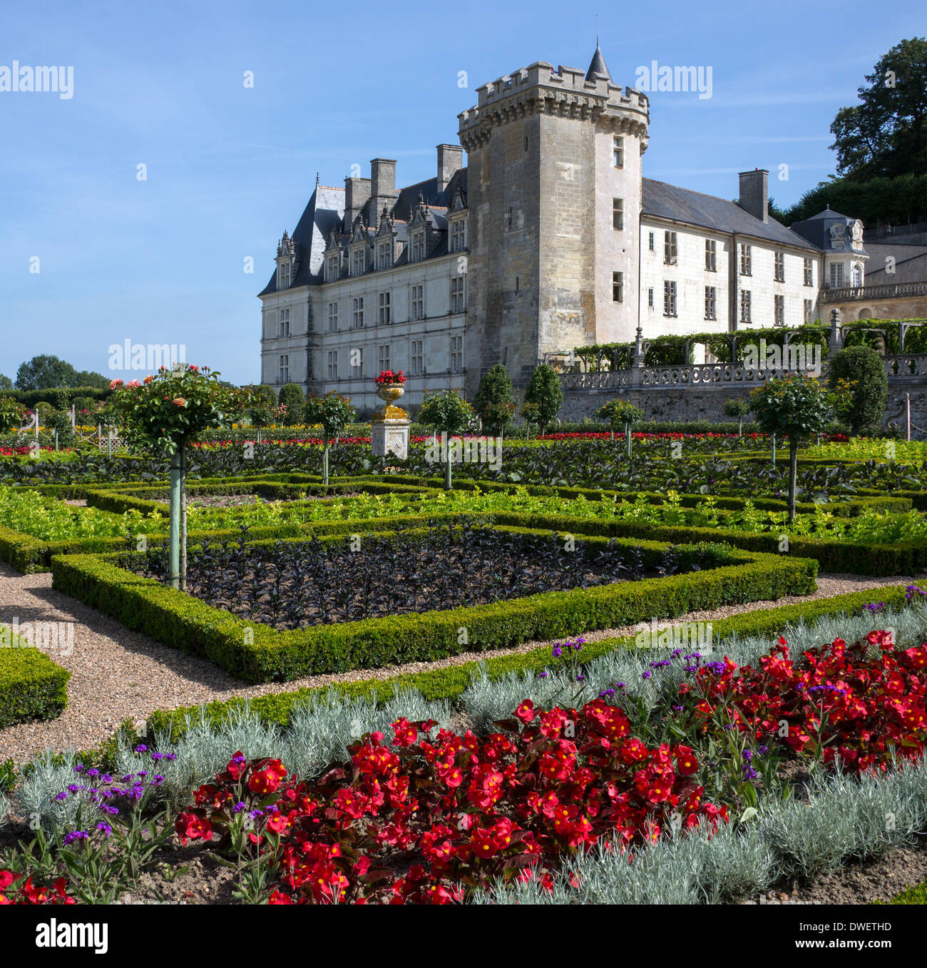 16ème siècle château et jardins de Villandry - Vallée de la Loire en France. Banque D'Images